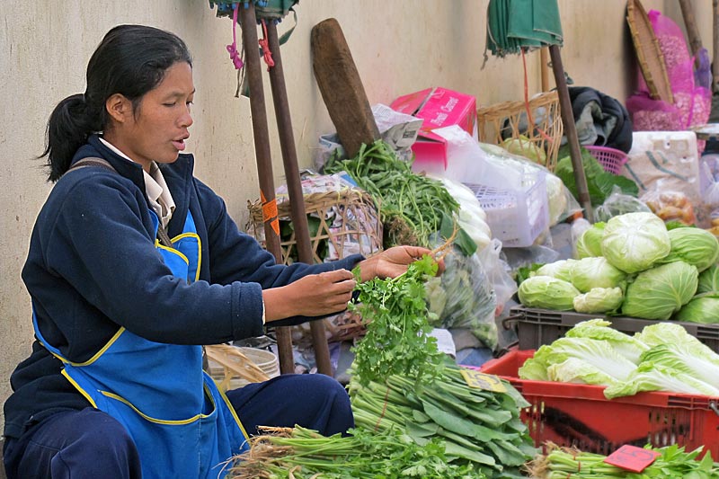 Chiang Rai