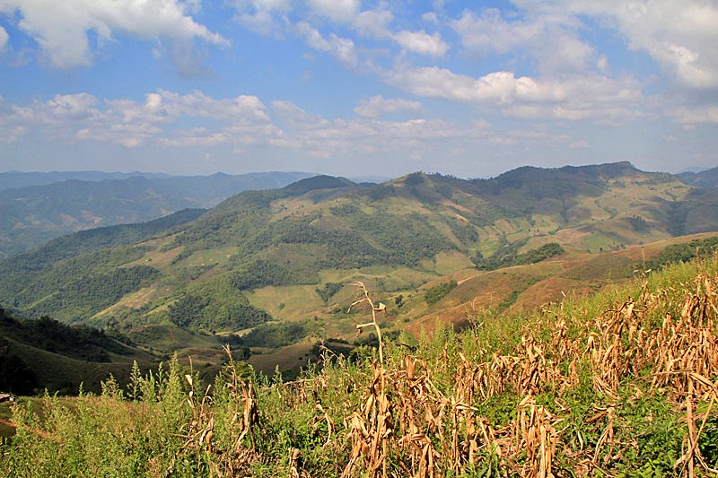 Chiang Rai