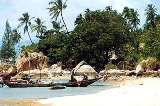 Boat, Palm, Beach