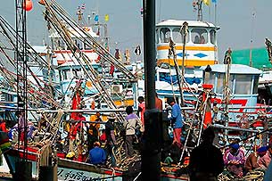 Fischereiflotte Cha Am - zum vergroessern bitte anklicken!