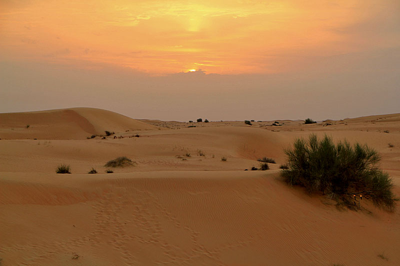 Dubai, Wüstentour