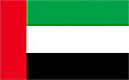 Dubai Fahne