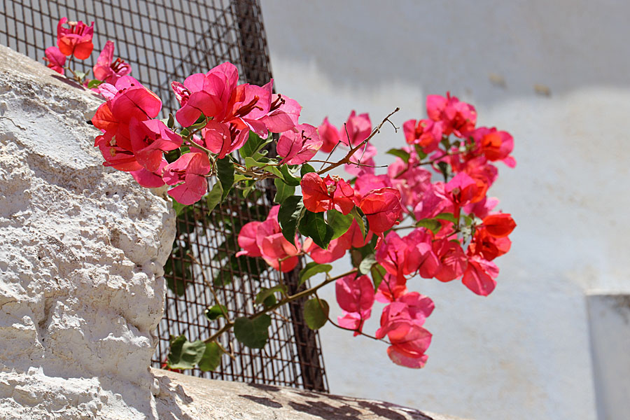 Amorgos