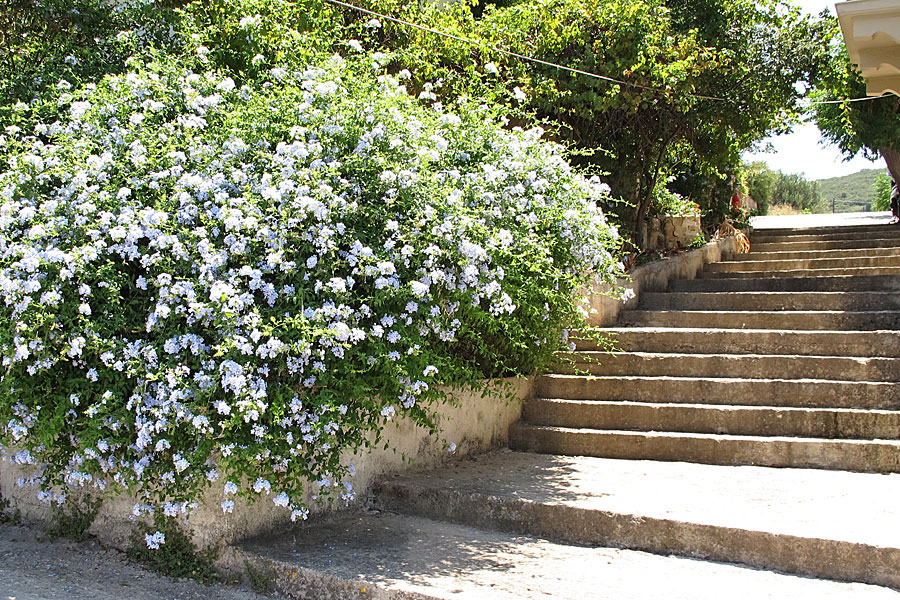 Kefalonia, Fiskardo