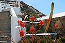 Mykonos  -  Click for large image !!