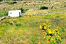 Mykonos  -  Click for large image !!