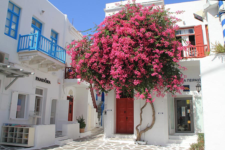 Mykonos