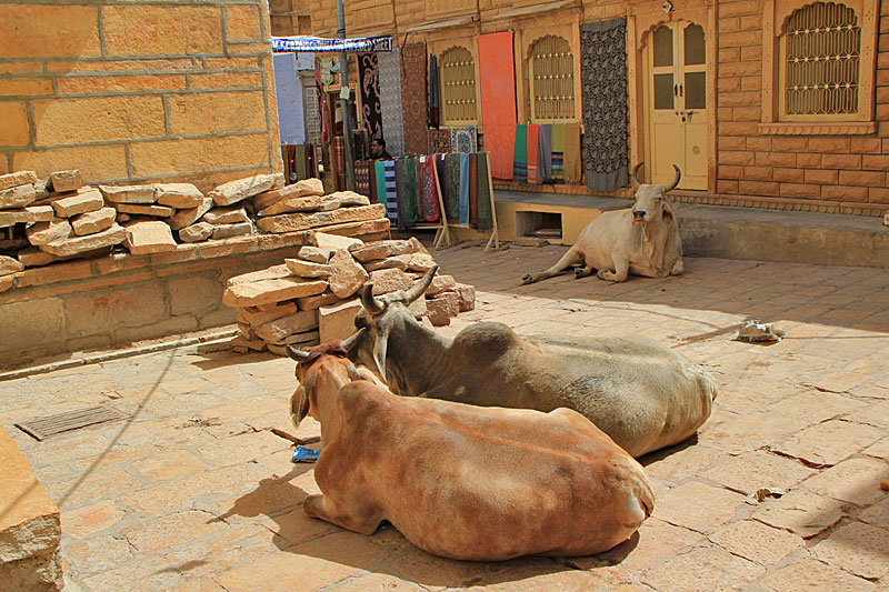 Jaisalmer