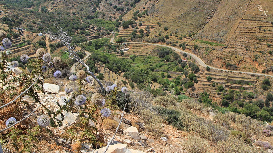 Naxos