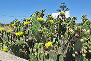 Naxos