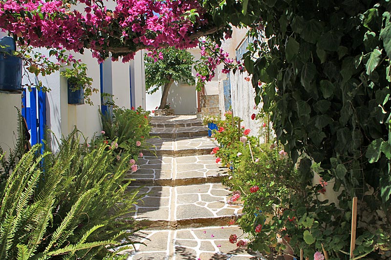 Paros