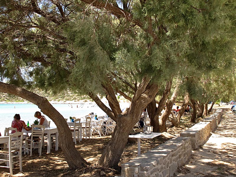 Paros