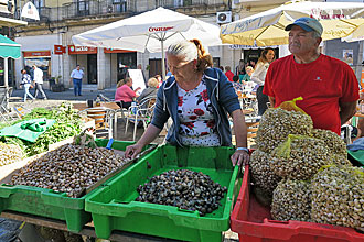 Jerez de la Frontera