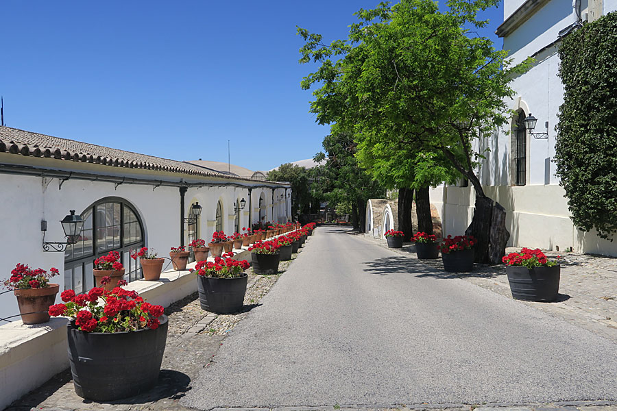  Jerez de la Frontera