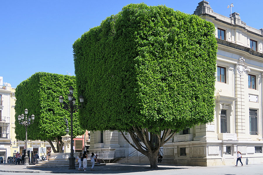 Sevilla